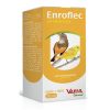Enro Flec Antibiotico – 10ml