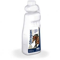Glicopan Energy - 1L