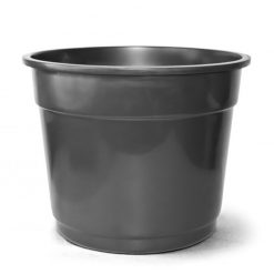 Vaso comum