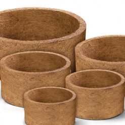 Vaso Nutricoco