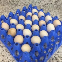 Ovos de Galinha Sedosa galados